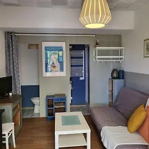 Studette Independante Et Coquette Avec Terrasse Sur Jardin Appartement